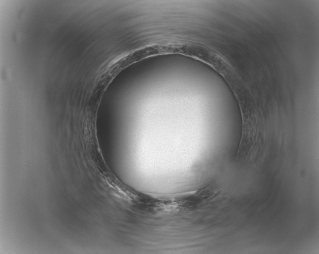 X0000052560773200507152225