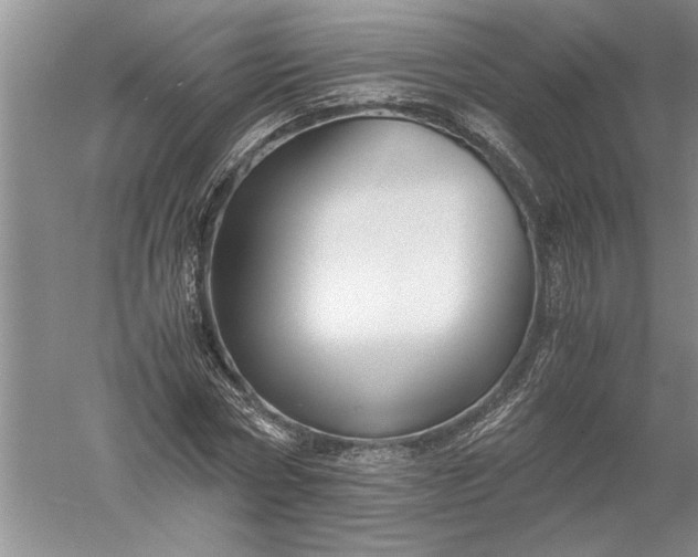 X0000052560778200507152225