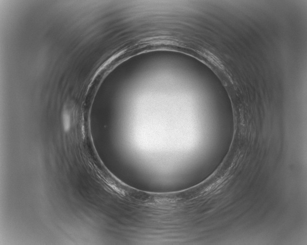 X0000052560782200507152225