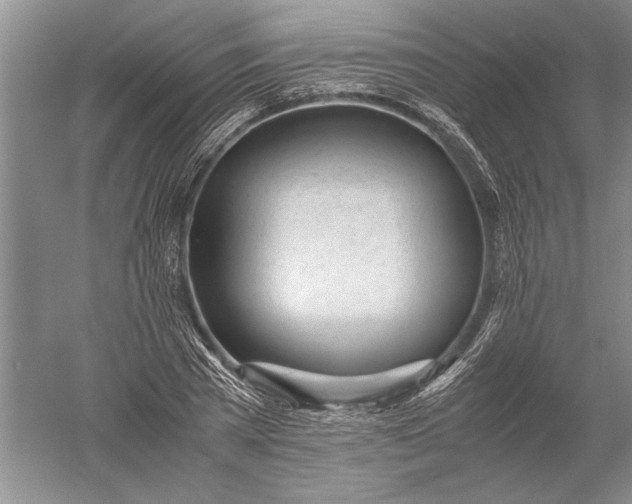 X0000052560785200507152225