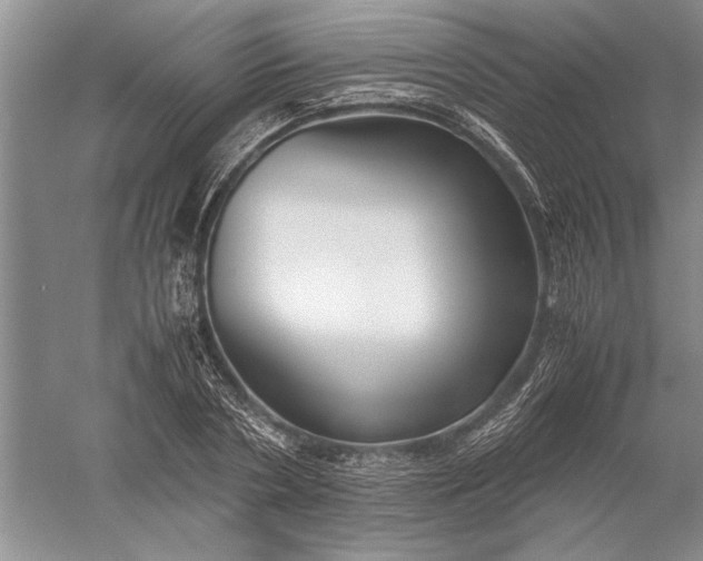 X0000052560786200507152225