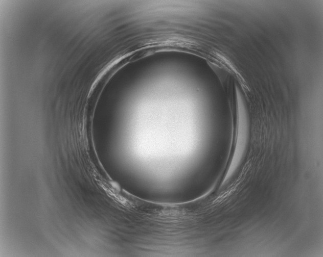 X0000052560788200507152225