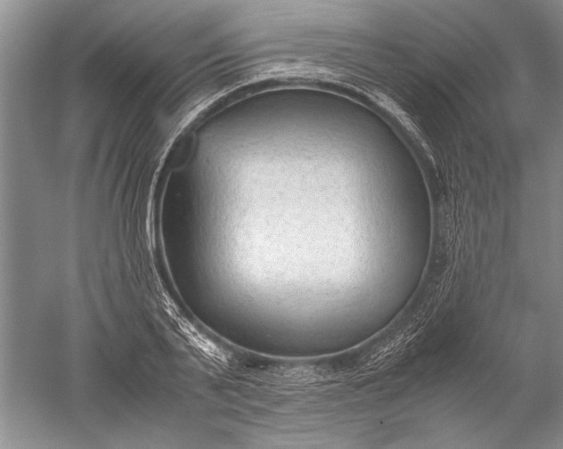 X0000052560791200507152225