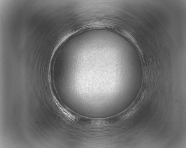 X0000052560795200507152224