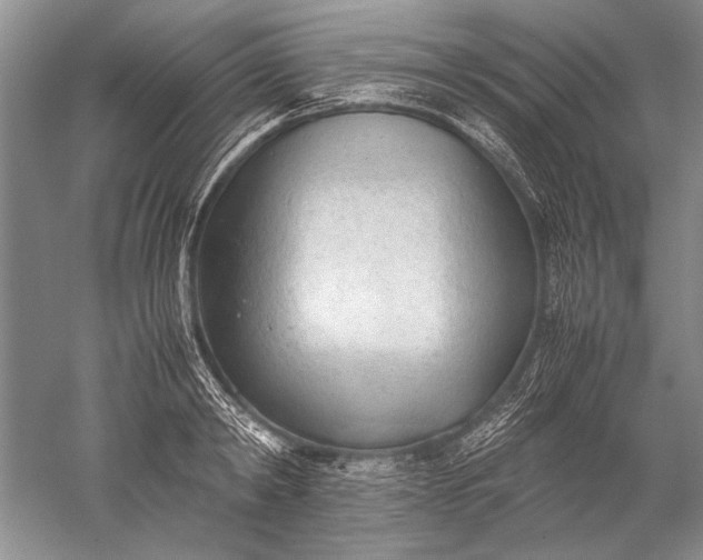 X0000052560798200507152224