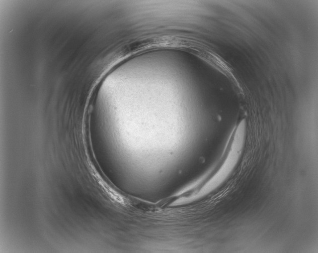 X0000052560803200507152224