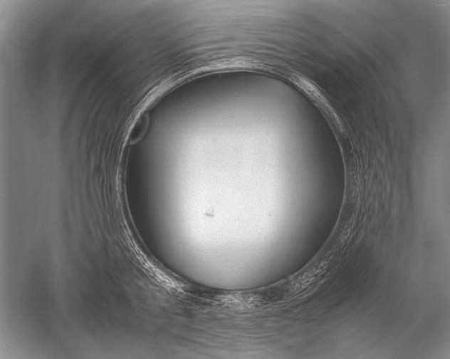 X0000052560805200507152224