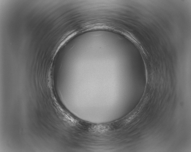 X0000052560806200507152224