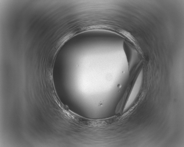 X0000052560809200507152224