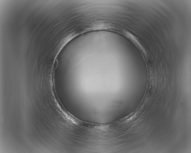 X0000052560810200507152224