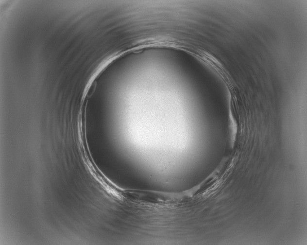 X0000052560812200507152224
