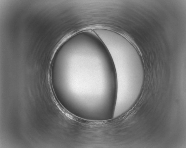 X0000052560813200507152224