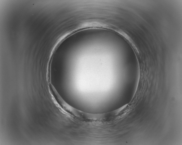 X0000052560815200507152224