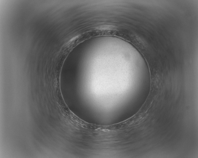 X0000052560821200507152223