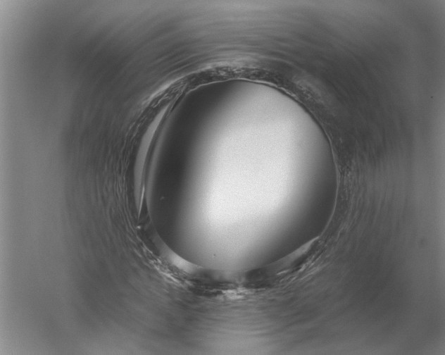 X0000052560822200507152223