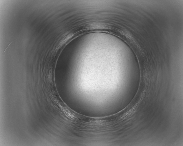 X0000052560833200507152224