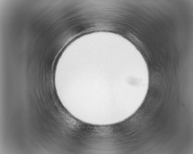 X0000052560836200507152224