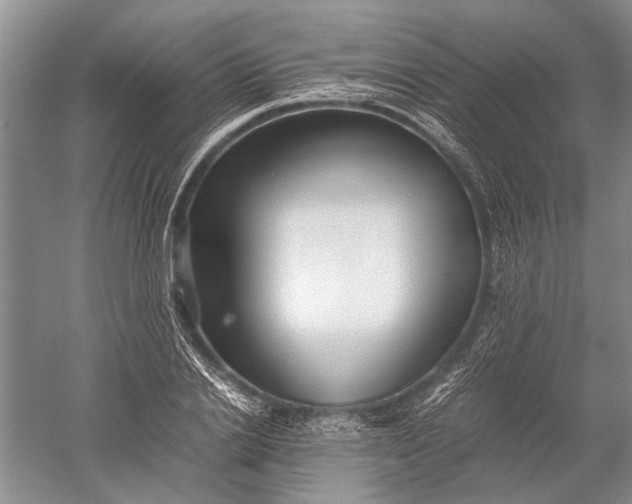 X0000052560838200507152224