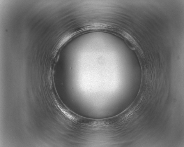 X0000052560842200507152224