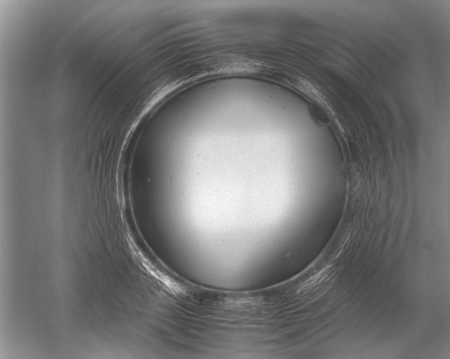 X0000052560843200507152224