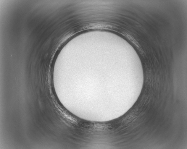 X0000052560848200507152224