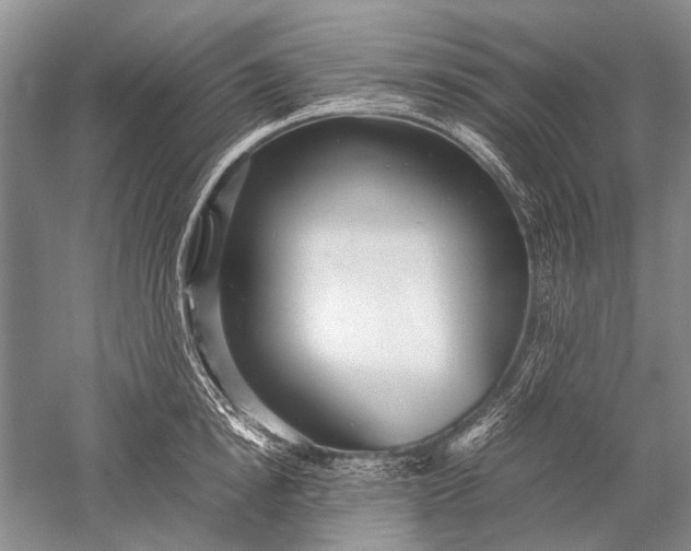 X0000052560854200507152224