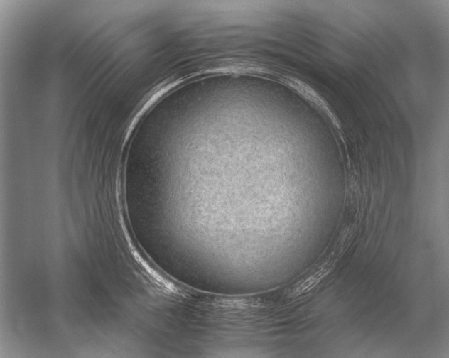 X0000052560855200507152224