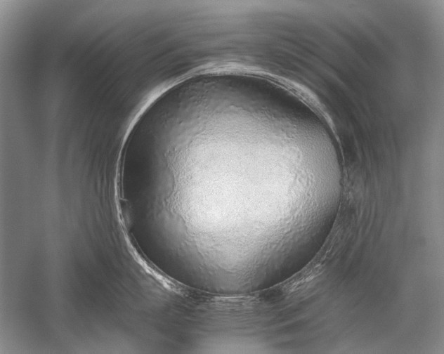 X0000052560863200507152224