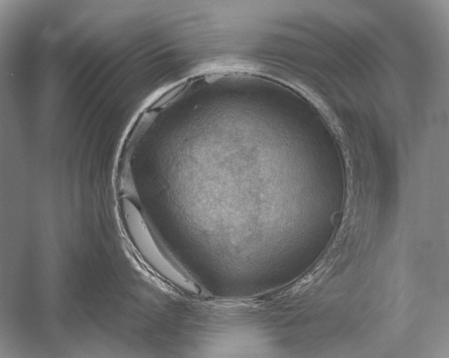 X0000052560864200507152224