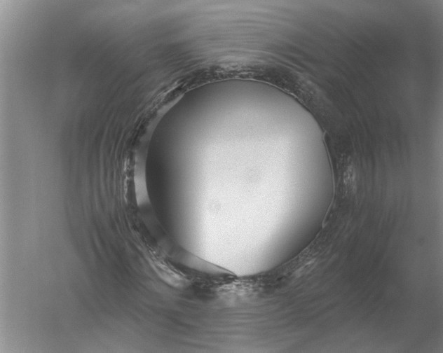X0000052560868200507152223