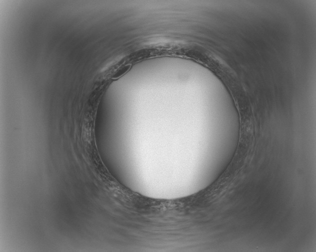 X0000052560869200507152223