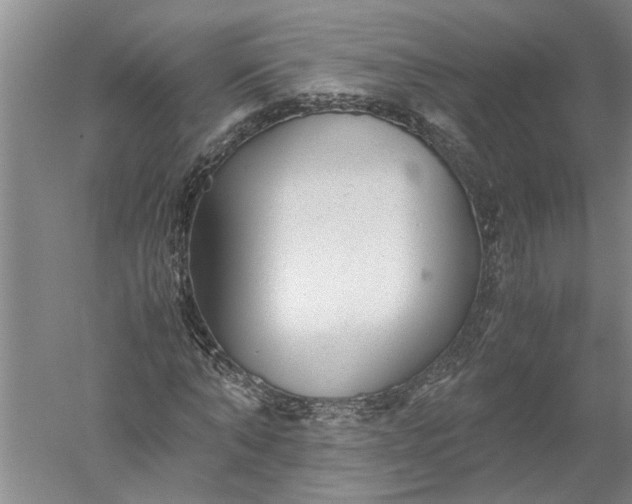 X0000052560870200507152223