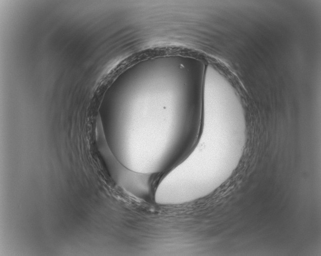 X0000052560871200507152223
