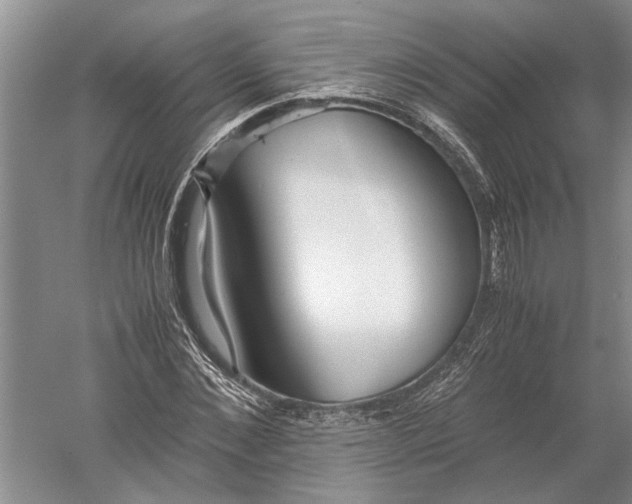 X0000052560876200507152223
