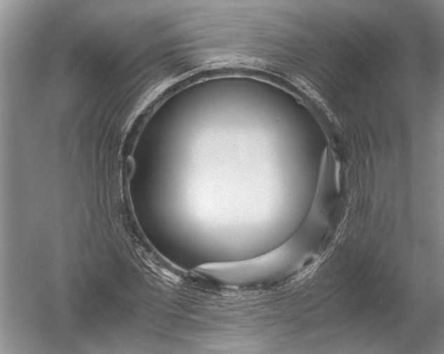 X0000052560877200507152223