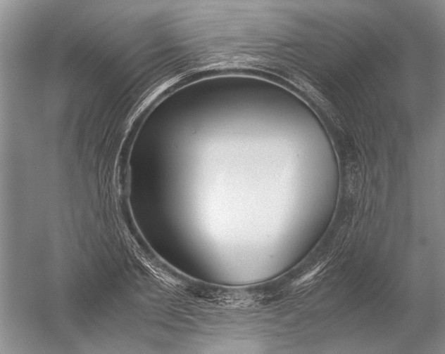 X0000052560885200507152223