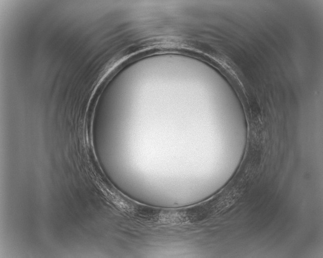 X0000052560887200507152223