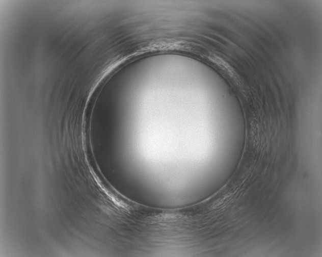 X0000052560894200507152223