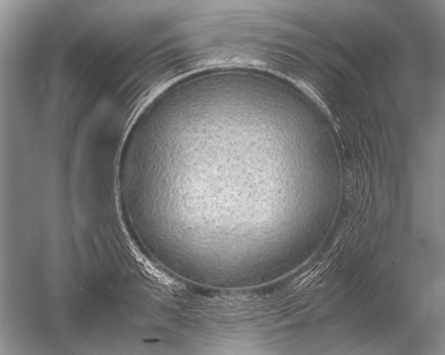 X0000052560895200507152223