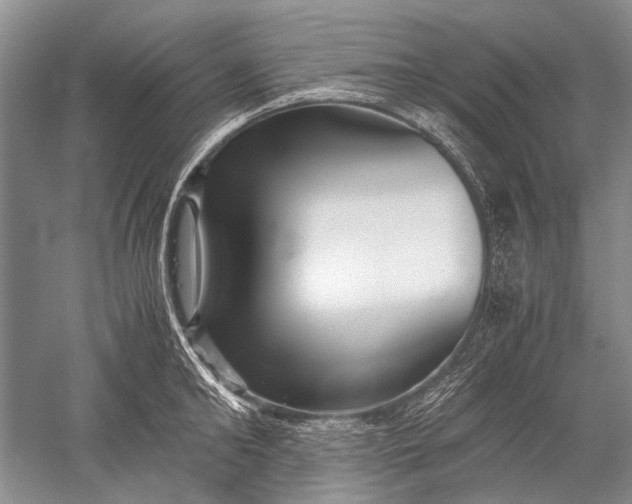 X0000052560902200507152223