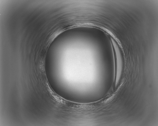 X0000052560905200507152223