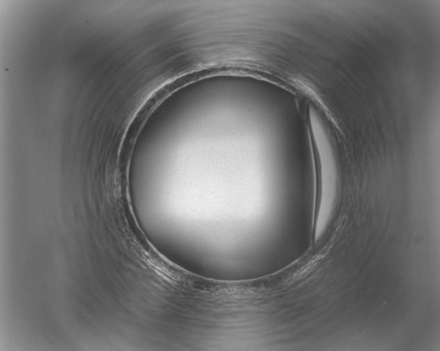 X0000052560924200507152222
