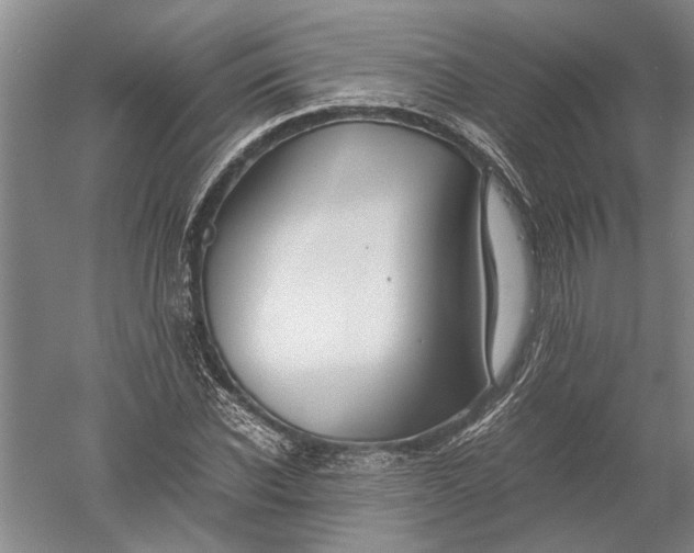 X0000052560926200507152222