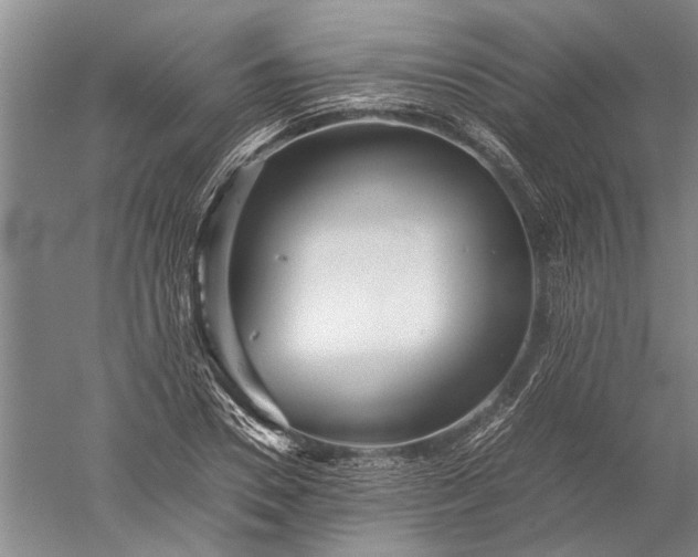 X0000052560930200507152222