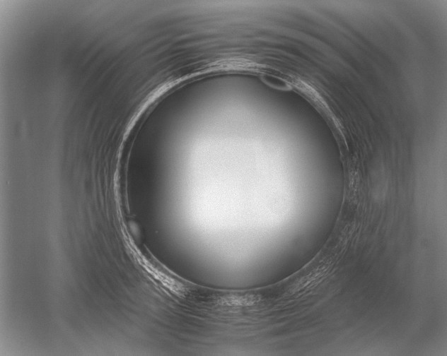 X0000052560947200507152222