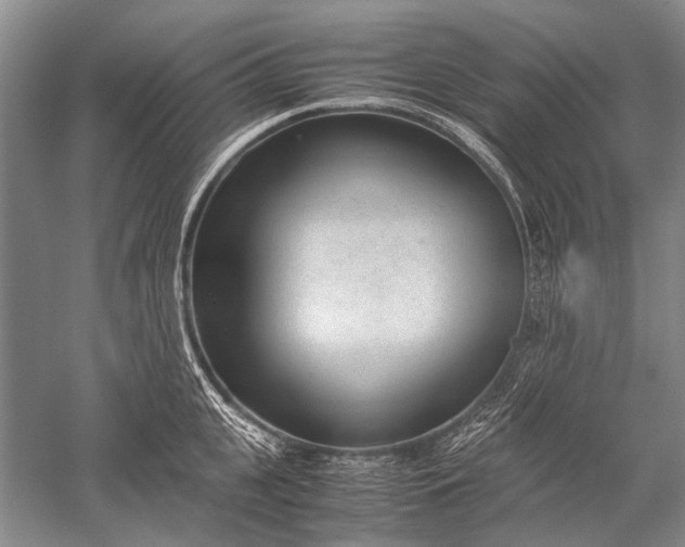 X0000052560951200507152222