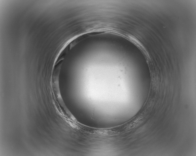 X0000052560956200507152222