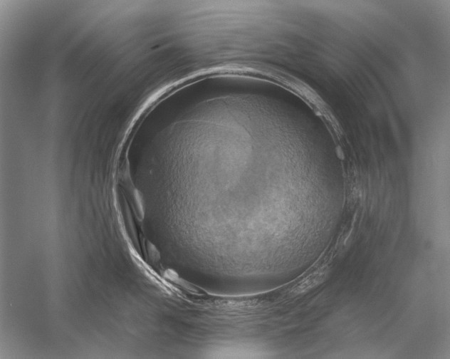 X0000052560958200507152222