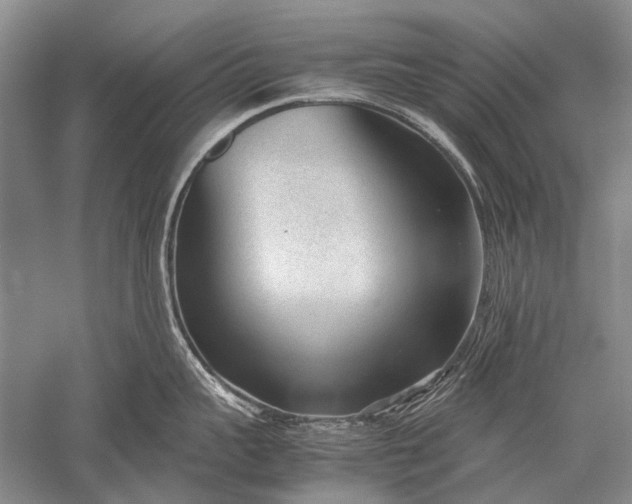 X0000052560959200507152222
