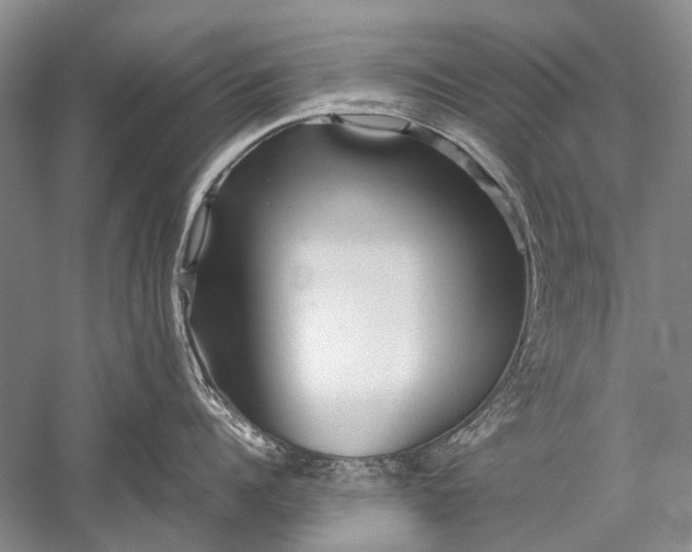 X0000052560960200507152222